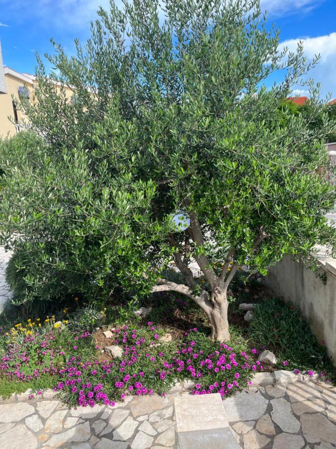 Ražanac Apartments Jasna מראה חיצוני תמונה